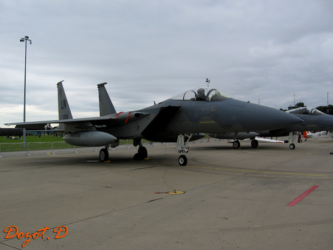 McDonnell Douglas F-15 Eagle Florennes 2008.