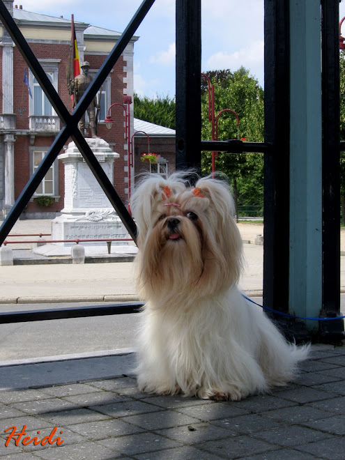 Heidi au kiosque de Roclenge.