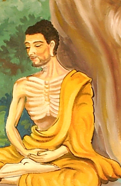 Apparitions of not Being Pithy: Siddhartha's Experience