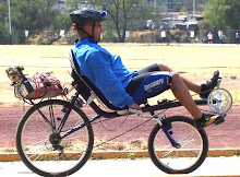 Recumbente con perrito