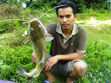 Terbaik Kategori Sungai