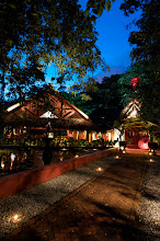 Jungle-Luxe Dining in KL