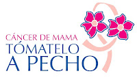 Apoyo la lucha contra el cáncer de mama