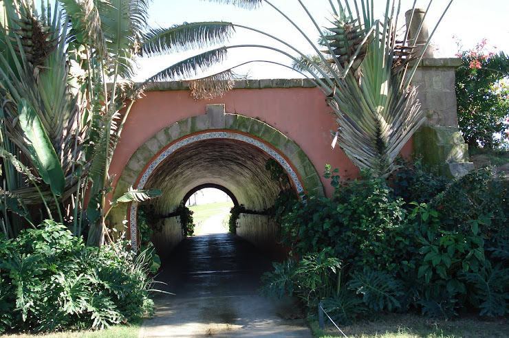 Tunnel on course