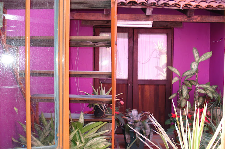 A 2nd Art Shop in Centro