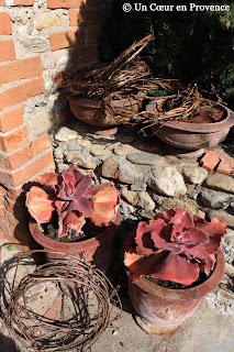 Old Ampholia pots