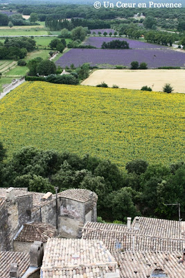 Paysage de lavande et tournesol sous le château de Grignan