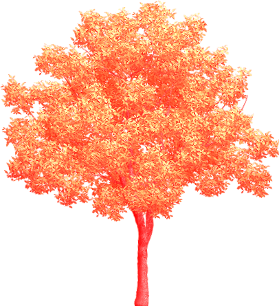 Coisinhas Etc... e Tal: Arvores Png