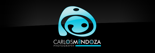 Carlos Mendoza Photo Weddings