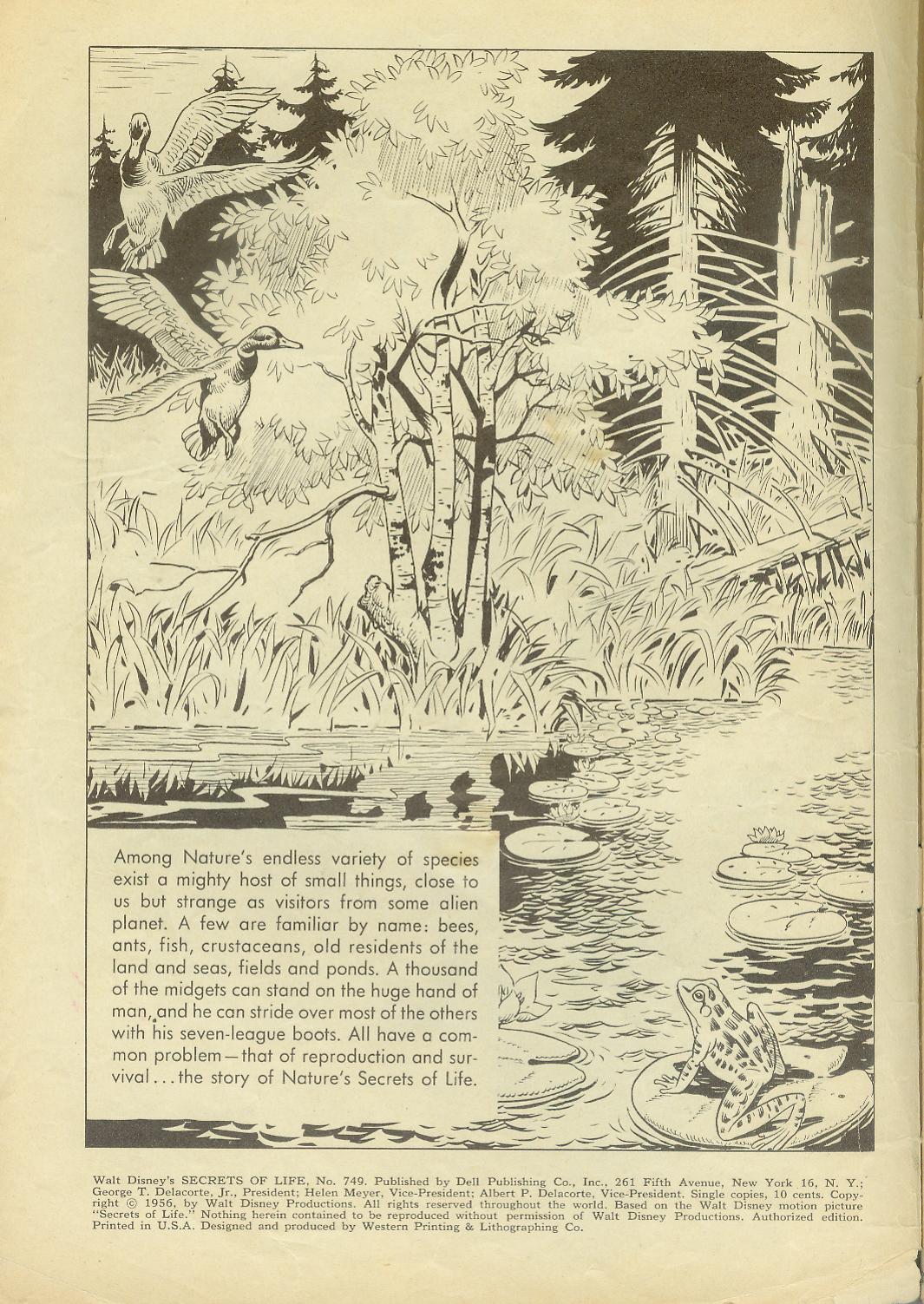 Read online Four Color Comics comic -  Issue #749 - 2