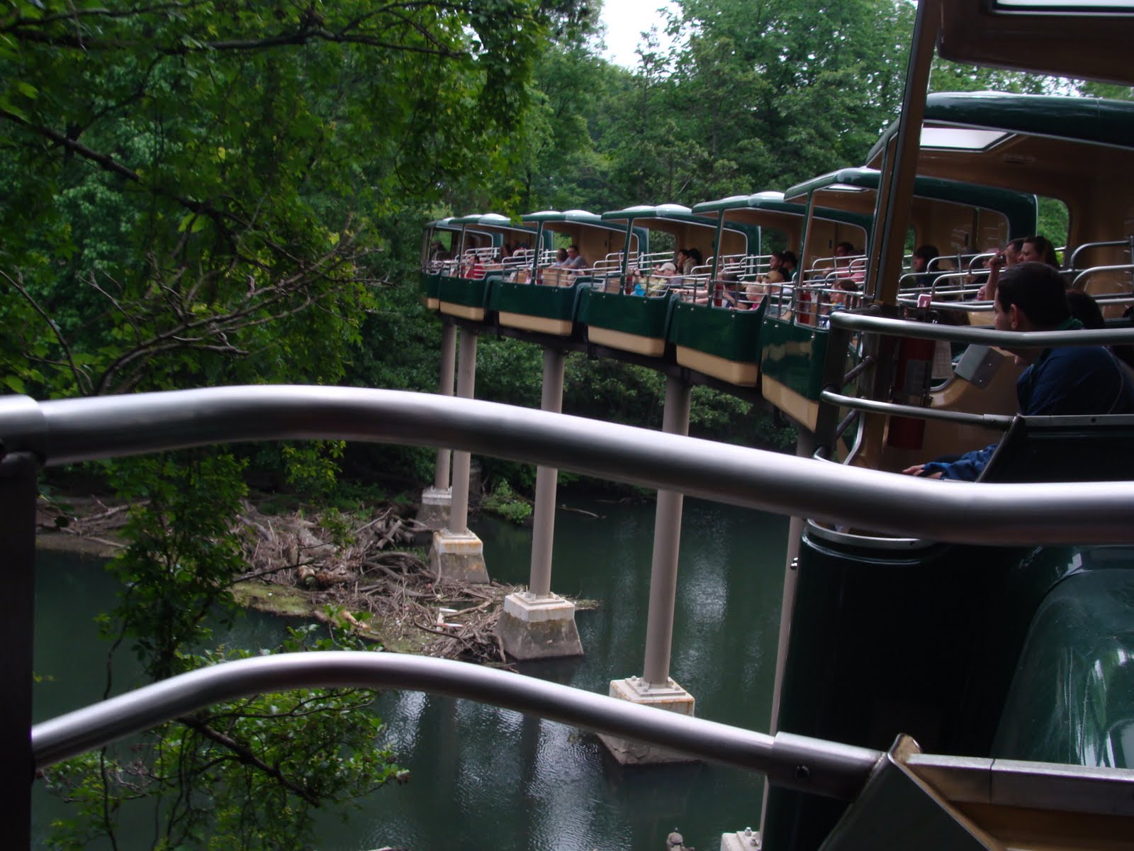 Down the Memory Lane A visit to the Bronx Zoo