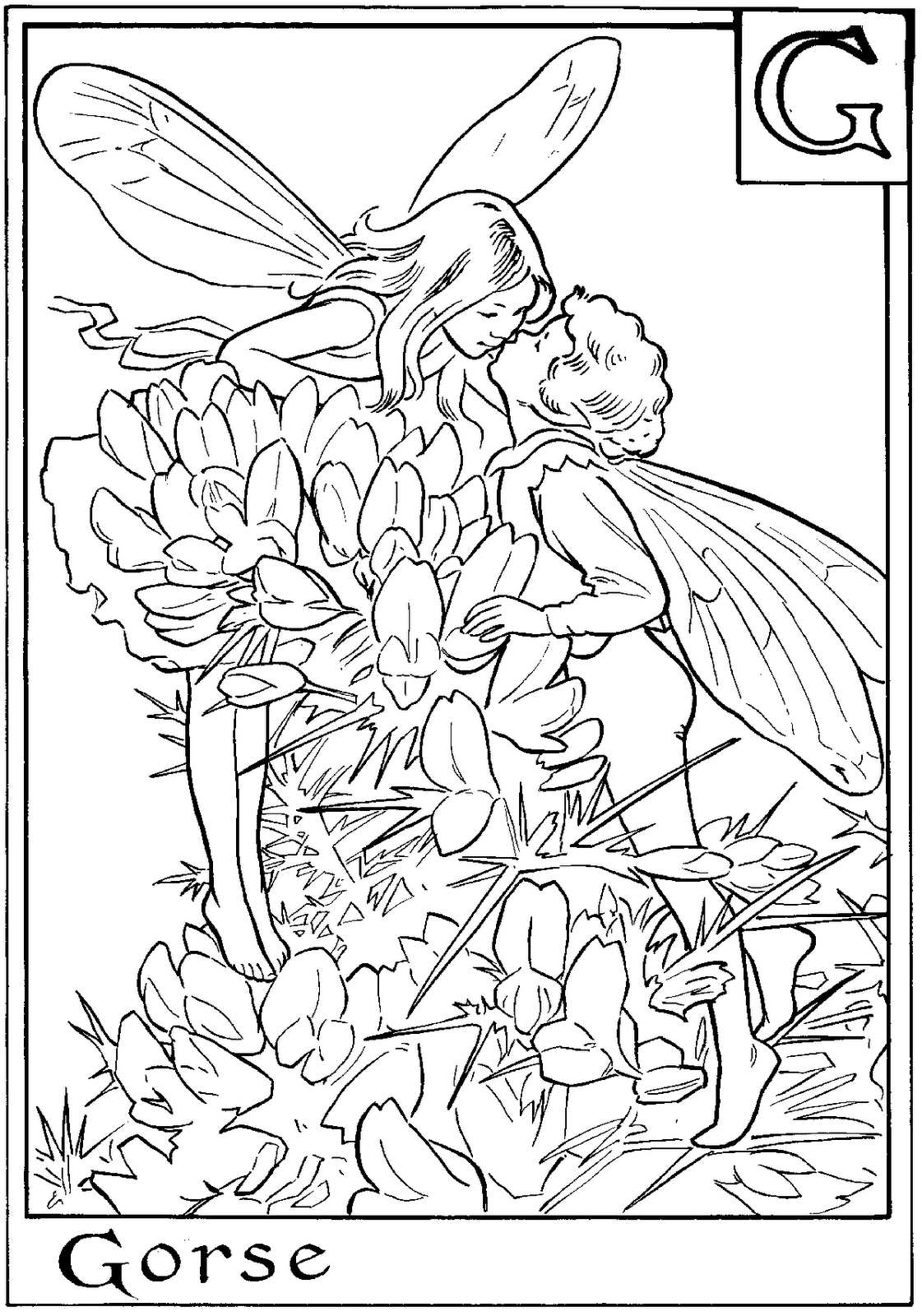 fairie coloring pages - photo #22