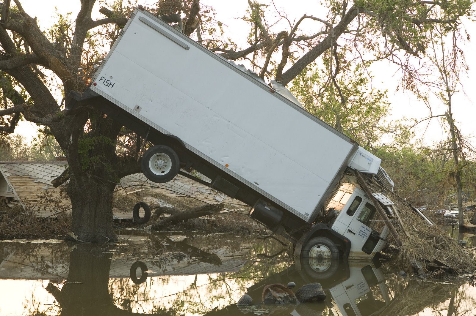 [Truck_in_a_tree_after_Hurricane_Katrina.jpg]