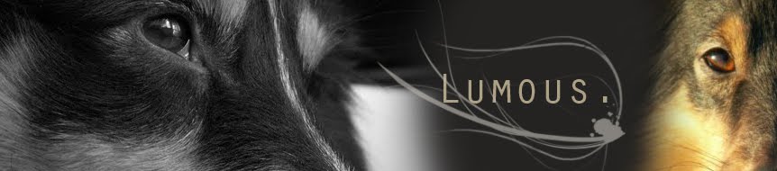 Lumous. - Ledi, Java & Lux