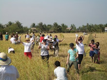 CAMBODIA: Harvesting rice