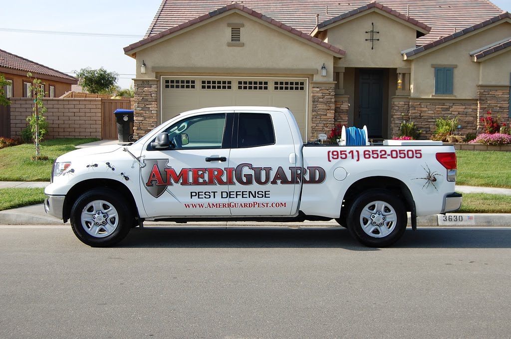 Pest, Termite, Gopher control in Temecula, Murrieta, Hemet, Moreno