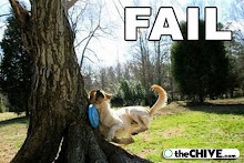 fail