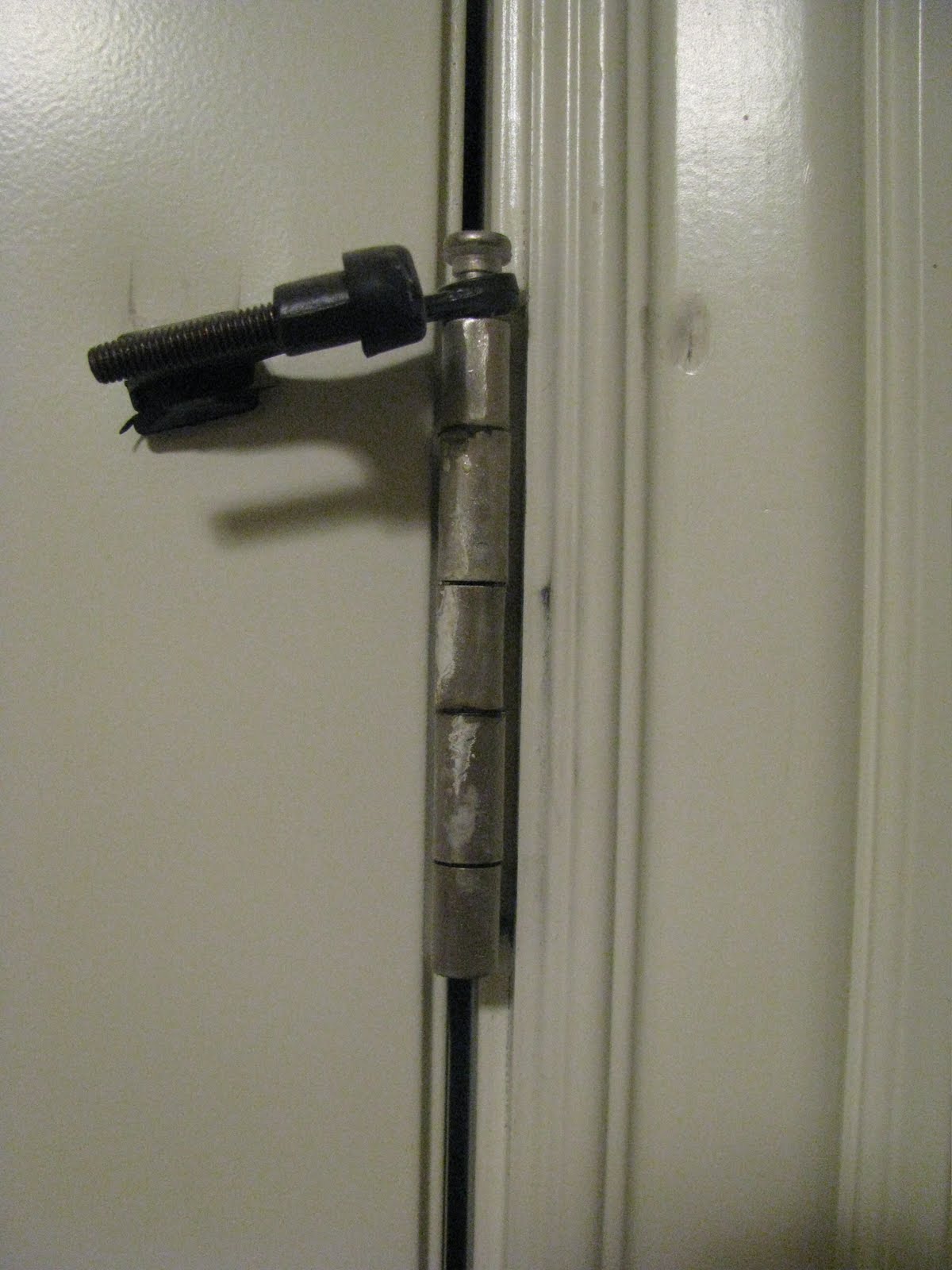 Sunshine's Design: Spray Painting Door Hinges