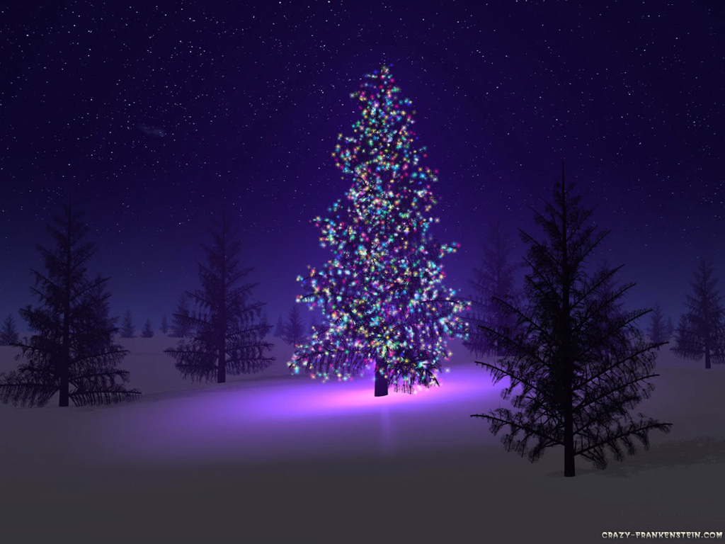[beautiful-christmas-tree.jpg]