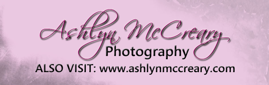 Ashlyn McCreary Photography