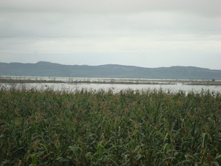 Agricultores temen perder sus cosechas ;Residentes empiezan atemorizarse