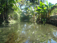 Sequía en un pueblo que debió llamarse Agua.