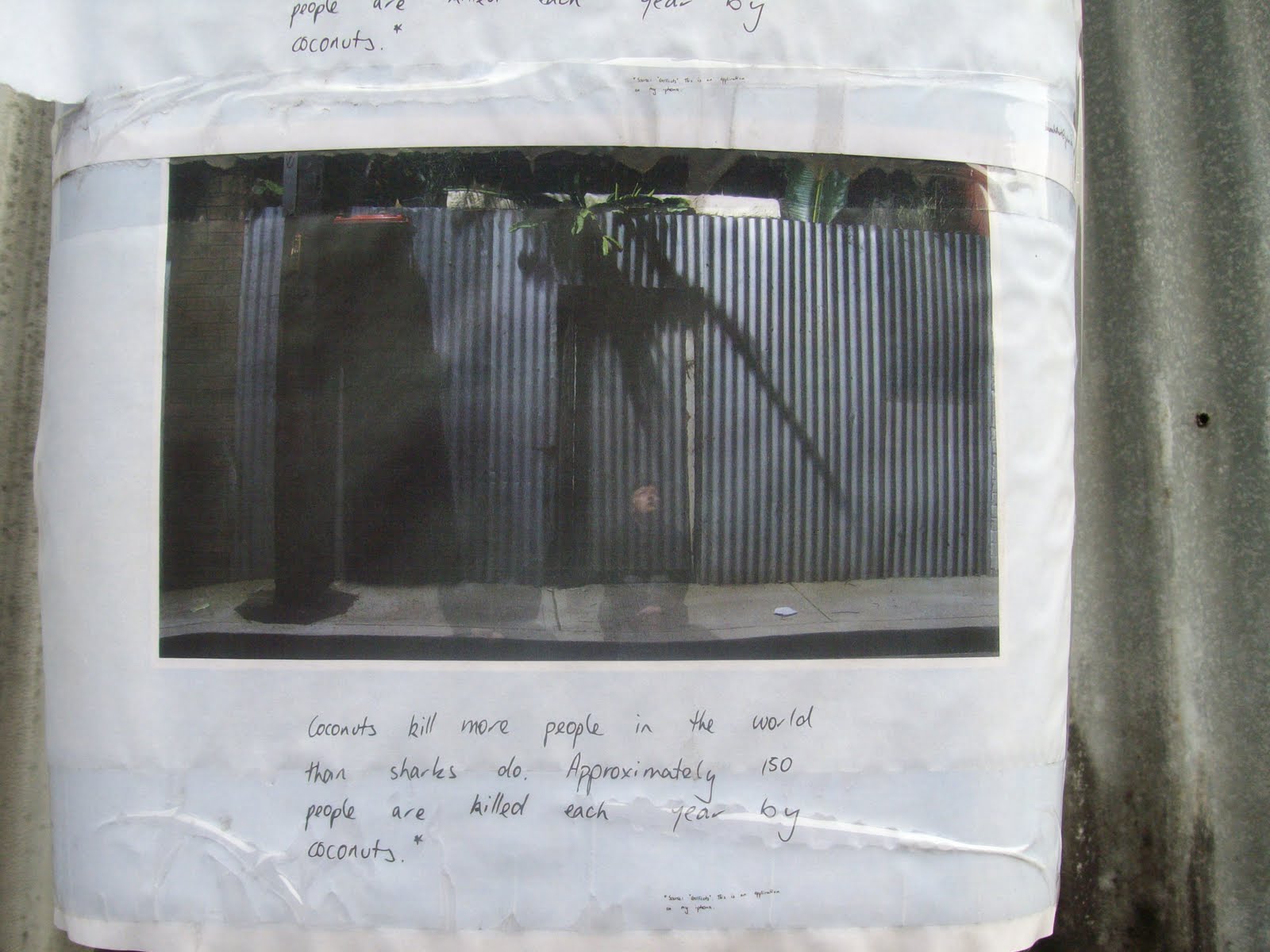 Photographs and 'The List' Attack of the killer coconuts