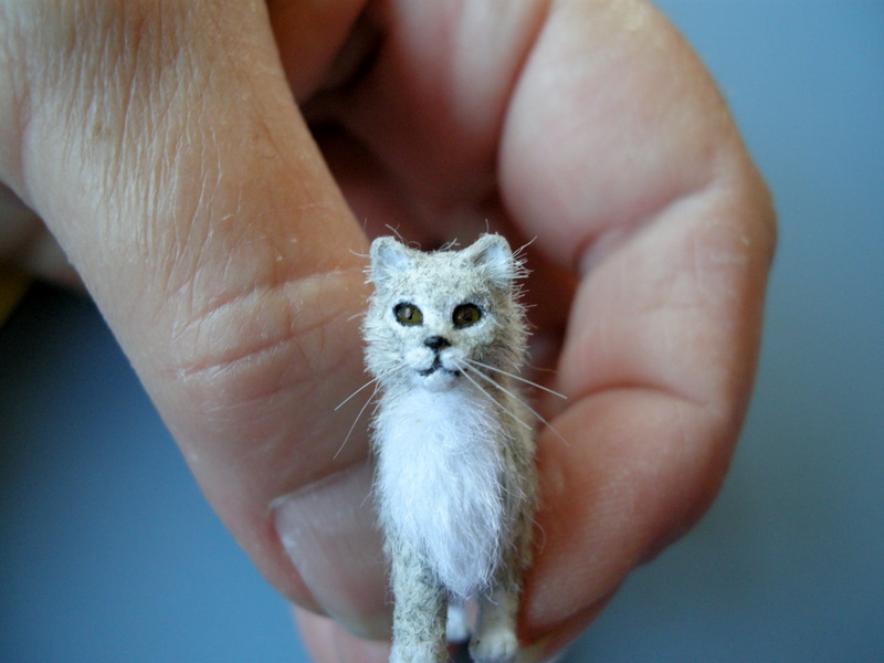Kilmouski & Me Miniature Cat