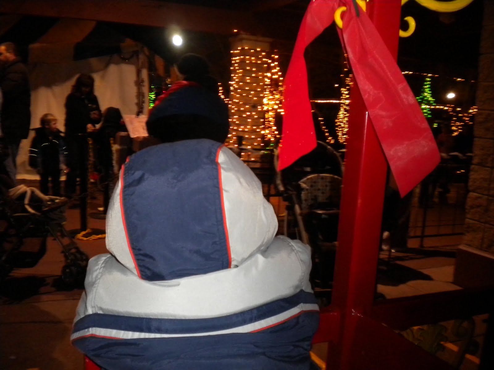 My Three Olson Boys: Christmas Lights at the Zoo