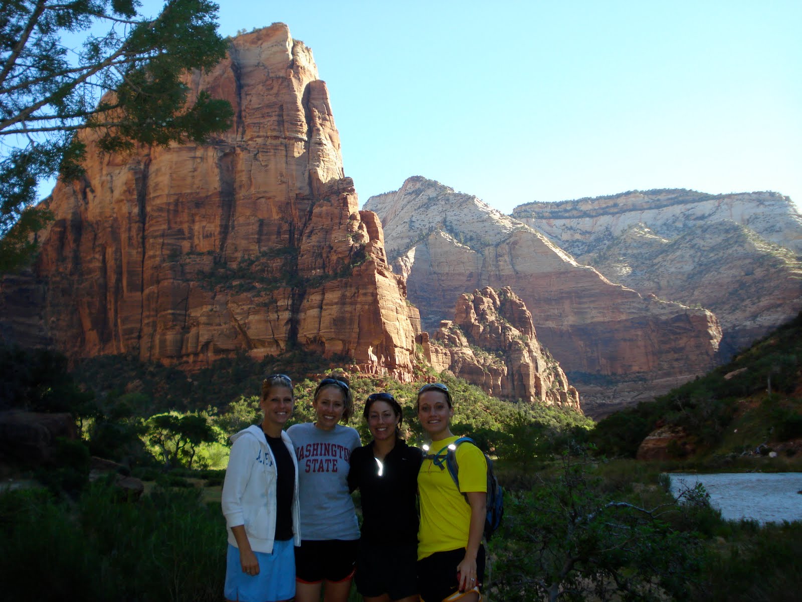 Living Gracefully Iron Lion ZION