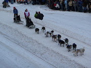 38th Iditarod ceremonial start in Anchorage 2010