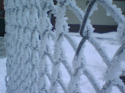 Frost from fog on fence