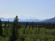 Denali from the north