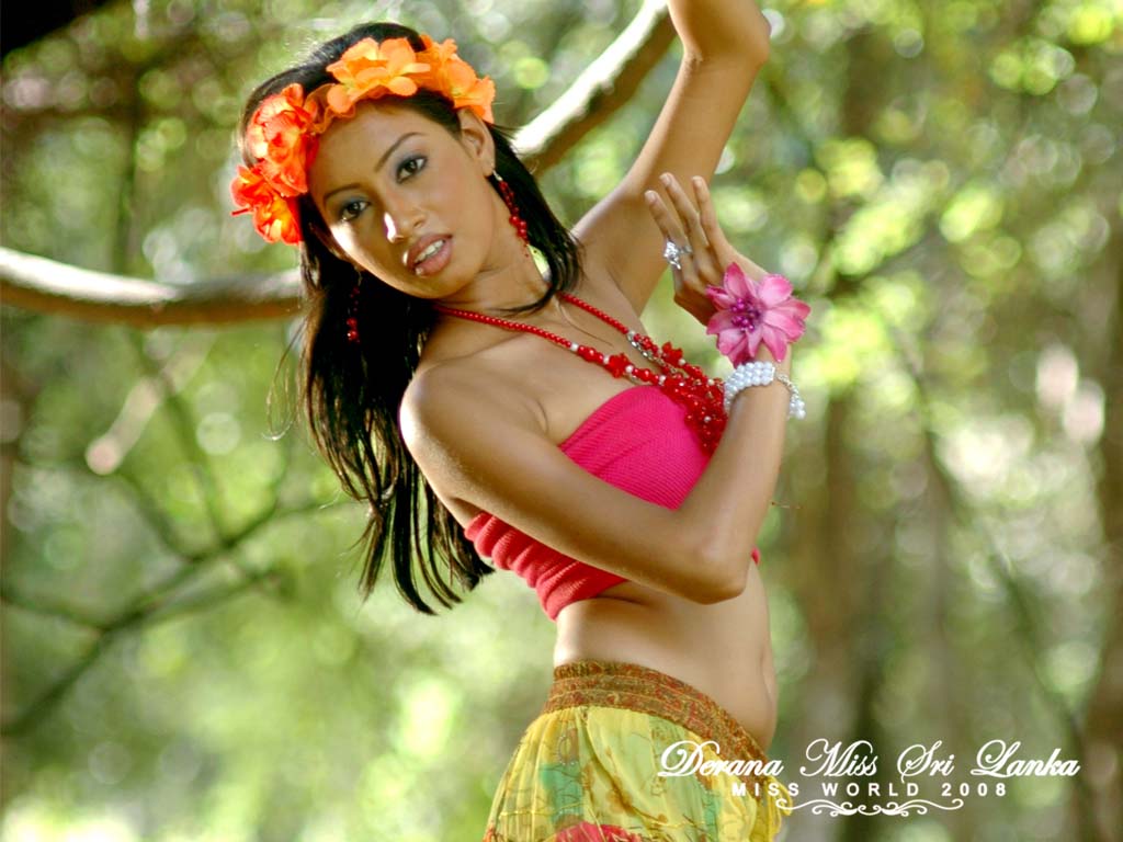 [wall_DMSL2008_Nimna.JPG]