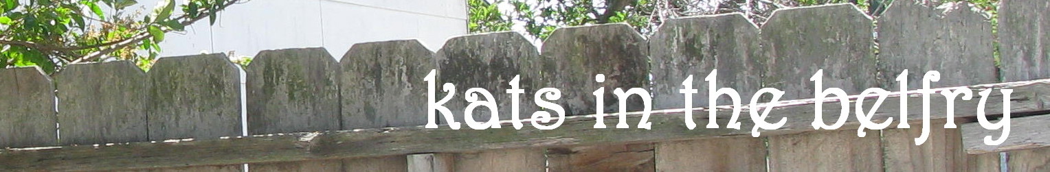 kats in the belfry