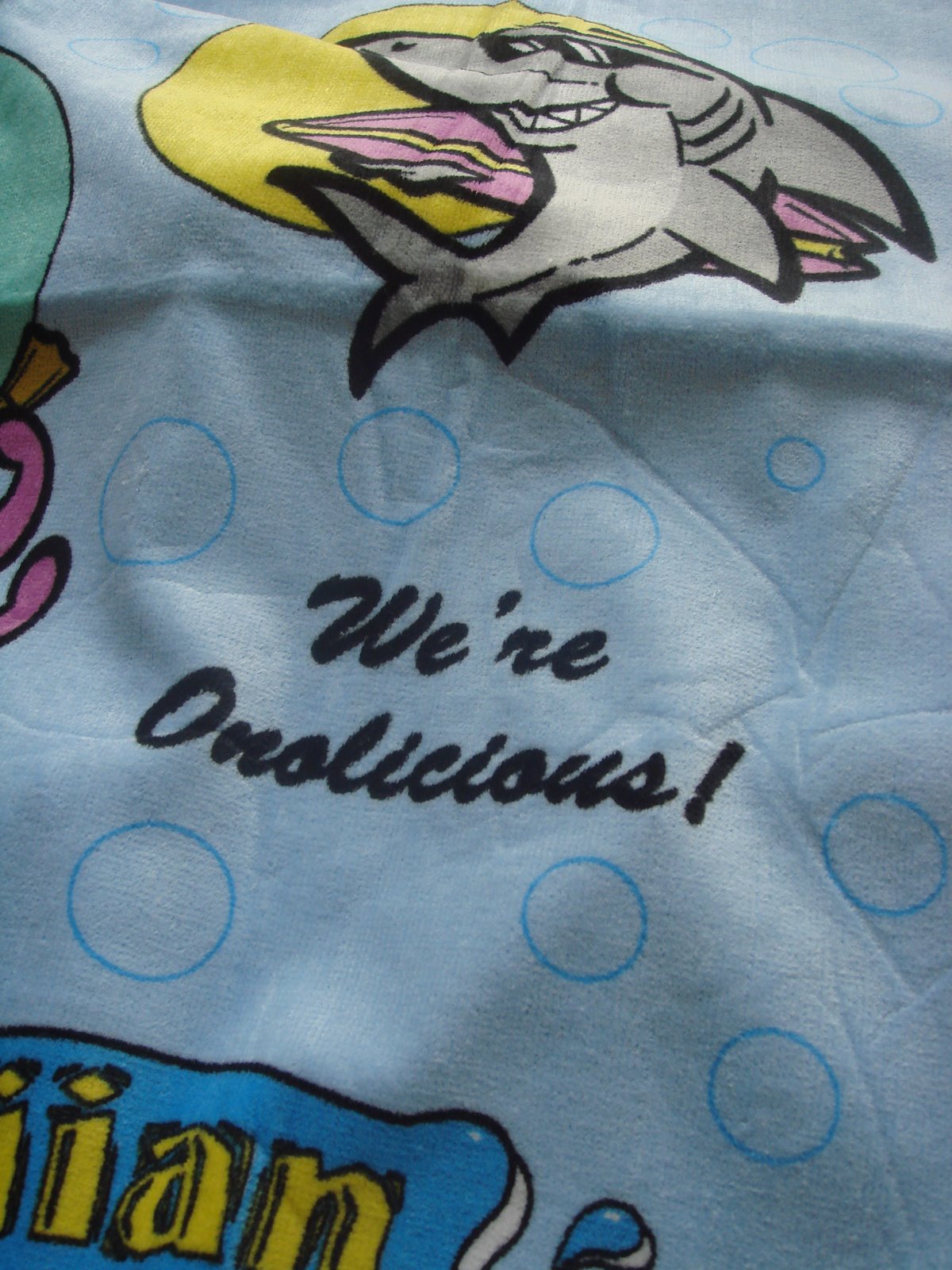 [Towel+2.JPG]