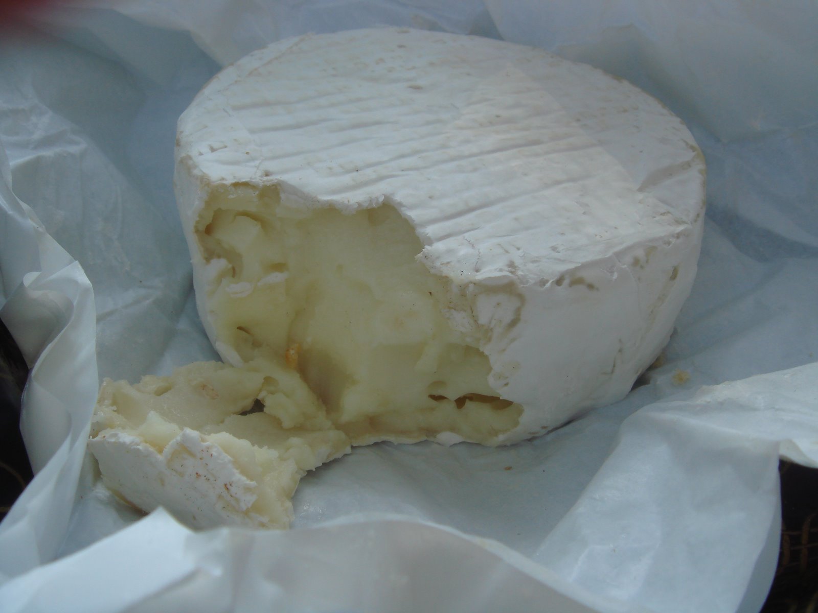 [Greenmkt+Sheep+Milk+Cheese+Innards.jpg]