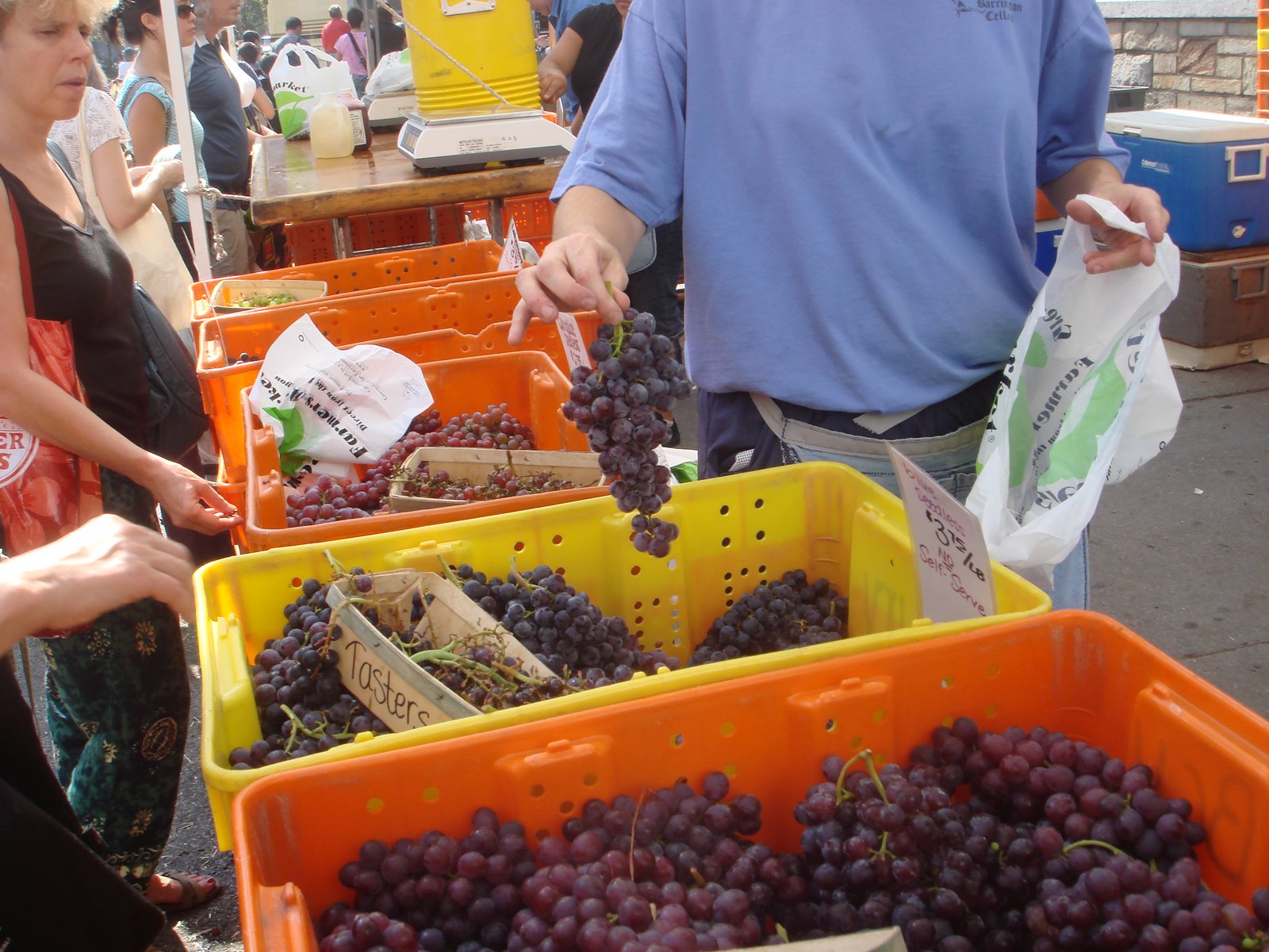 [Greenmkt+Grape+Stand.jpg]