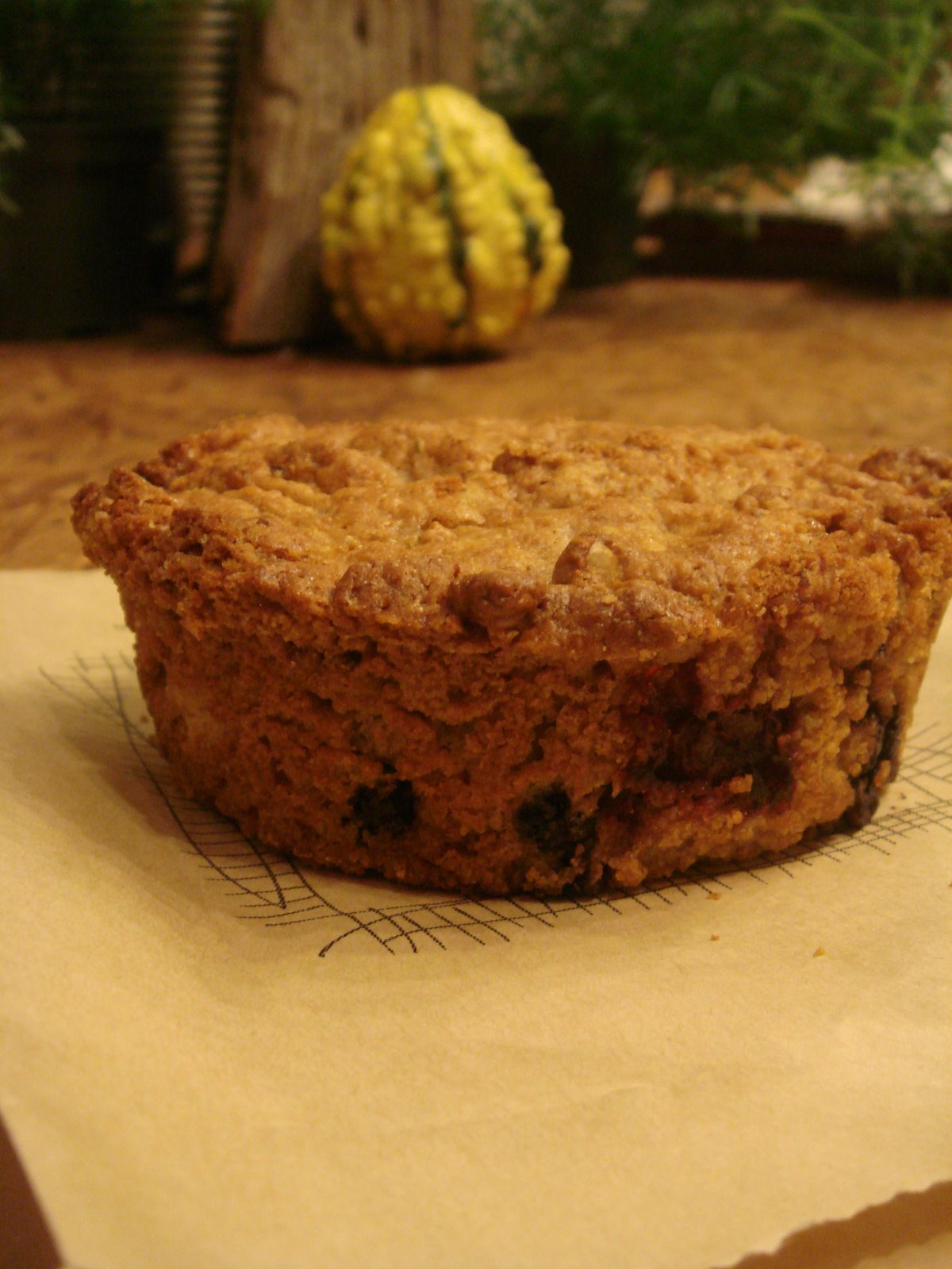 [Birdbath+soynut+blueberry+cranberry+muffin.jpg]