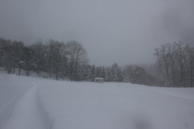 [IMG_2531.JPG]