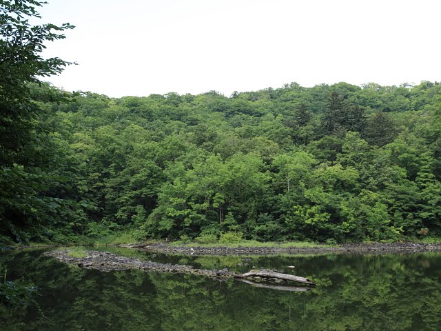 [IMG_1232.JPG]