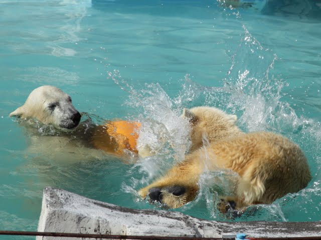 [IMG_1790.JPG]