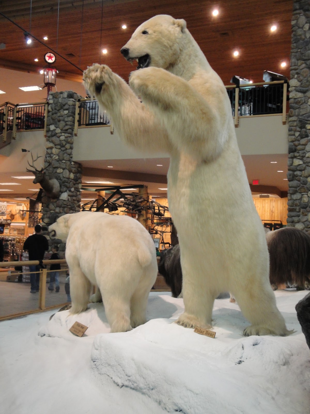 stuffed polar bear for sale