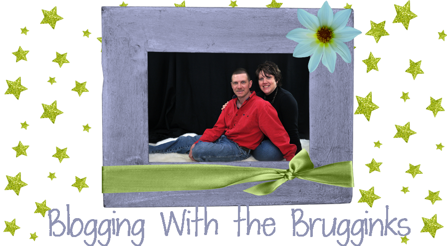 Blogging with the Brugginks