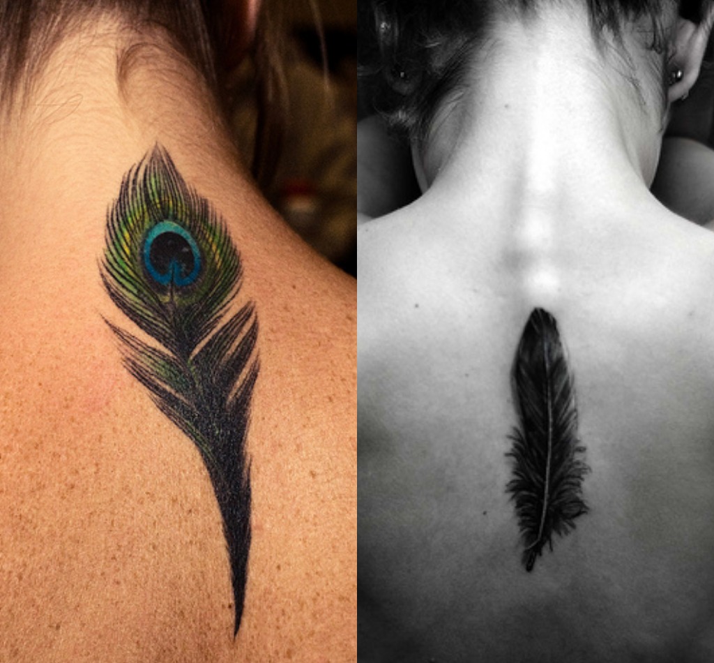 Перо на спине Перо на спине