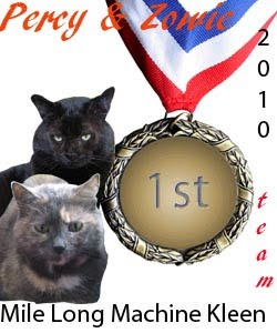 Our Cat-O-Lympics Medal