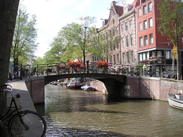 [Geraniums+on+a+bridge.jpg]