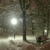 [12.gif]