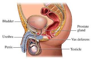 dizenterie prostatita care sunt simptomele cancerului de prostata
