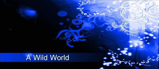 A Wild World